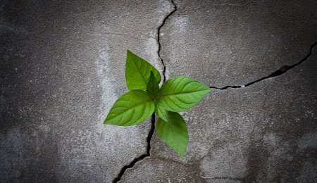 Resilience in a Time of Uncertainty